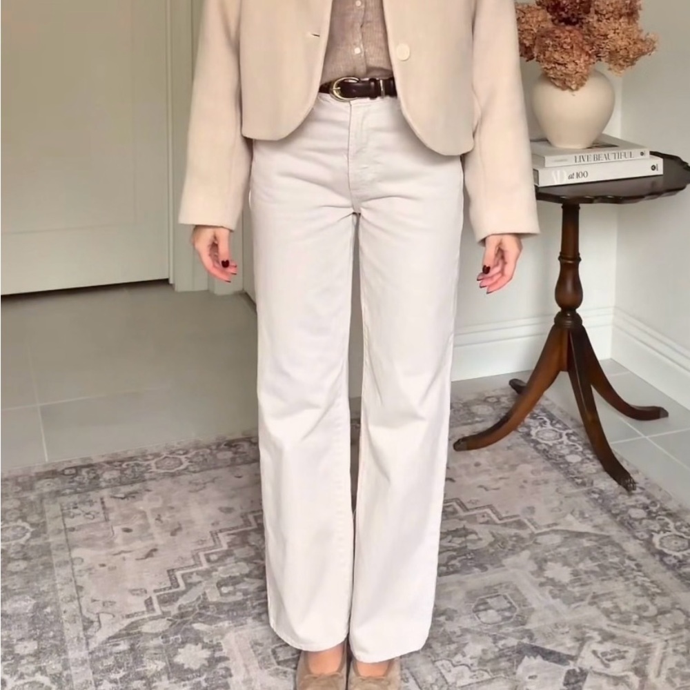 Aritzia Denim Forum Farrah Hi-Rise Wide Jeans in Sandstone, 25